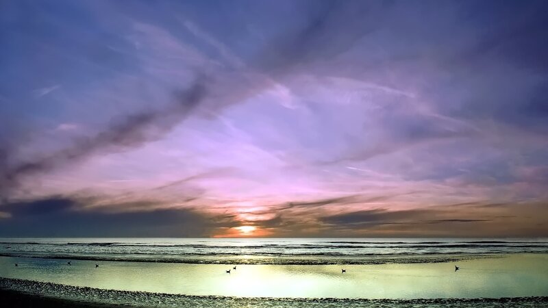 Birds on Beach at Sunset — Purple, Serene