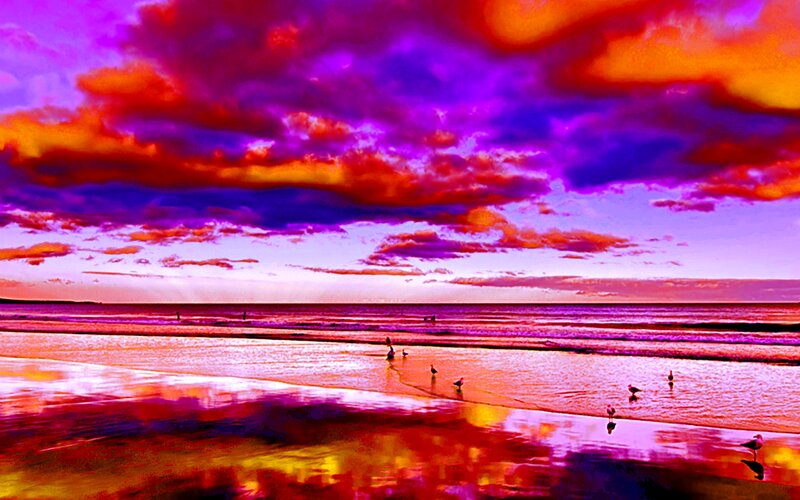 Birds on Beach at Sunset — Purple