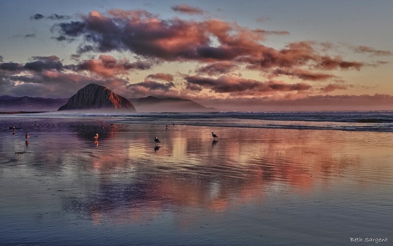 Birds on Beach at Sunset
