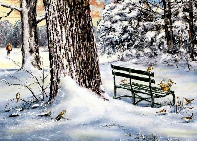 Birds on Bench in Snow