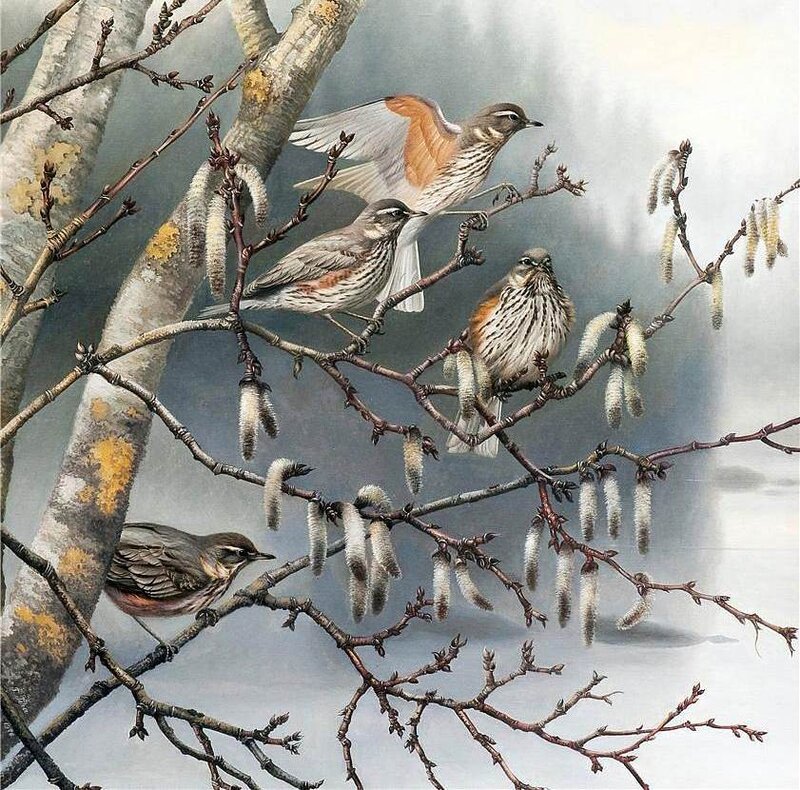 Birds on Birch Branches