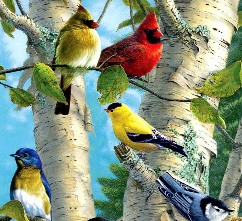 Birds on Birch Tree — Yellow