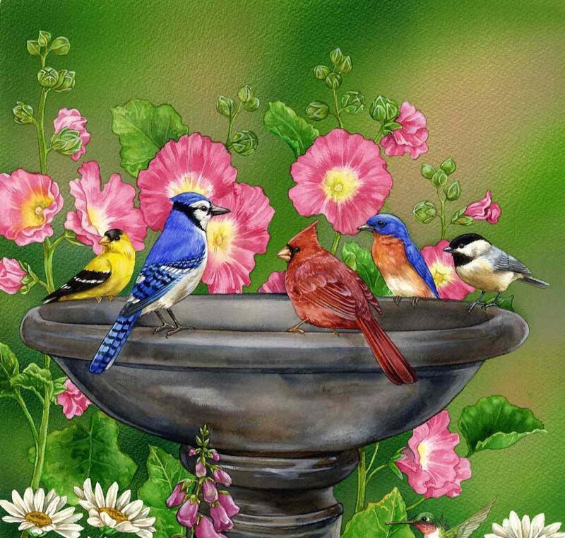 Birds on Birdbath