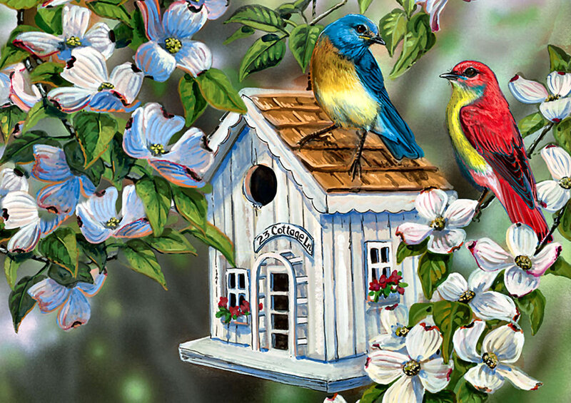 Birds on Birdhouse — White, Serene