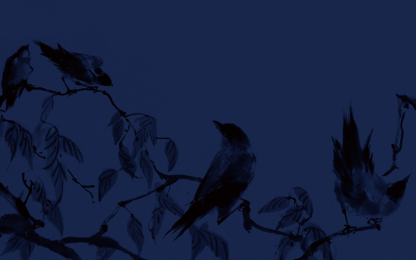 Birds on branches at night