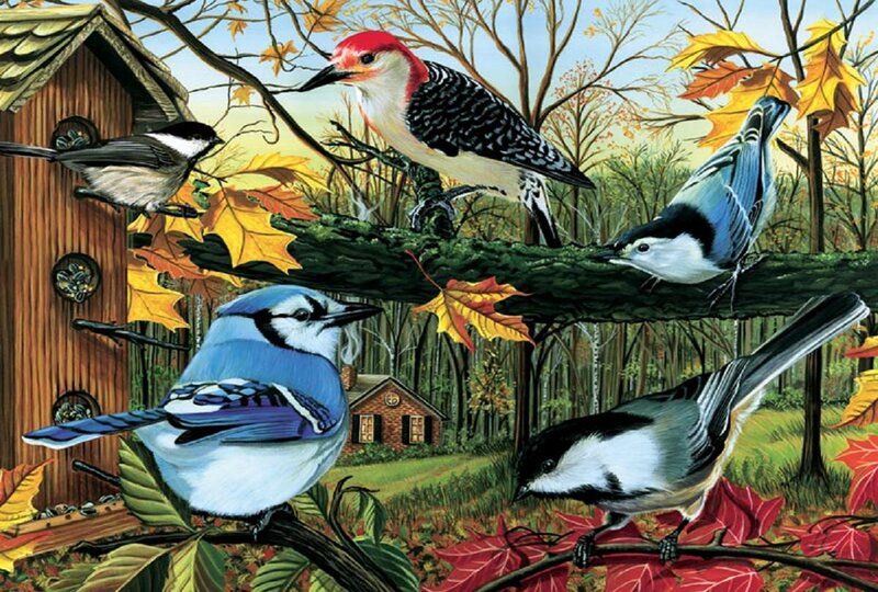 Birds on Branches