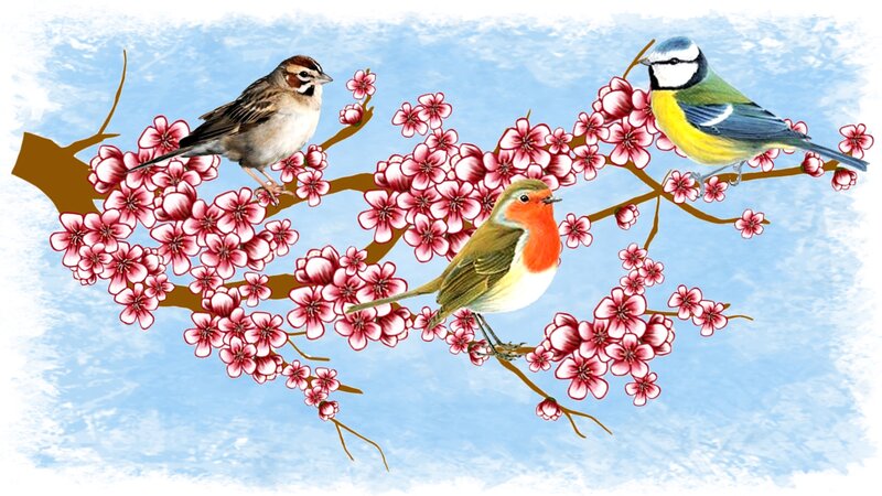 Birds on Cherry Blossoms — Pink