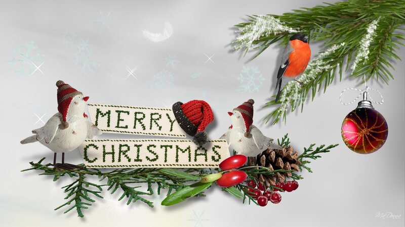 Birds on Christmas Branch