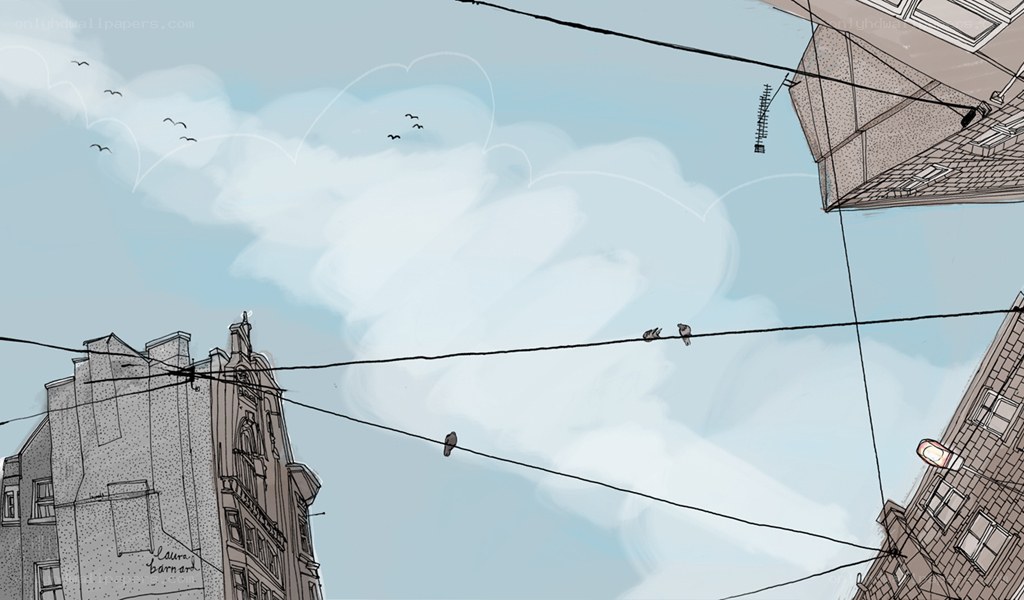 Birds on city wires