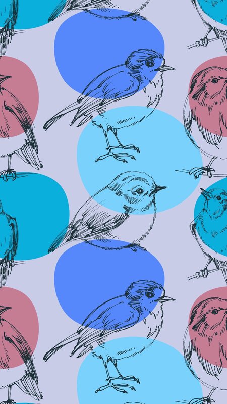 Birds on Colored Circles