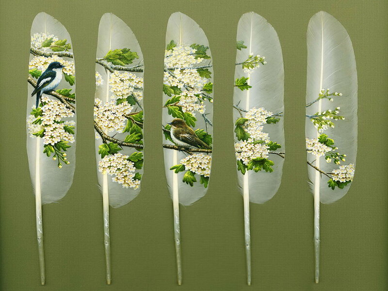 Birds on Feathers
