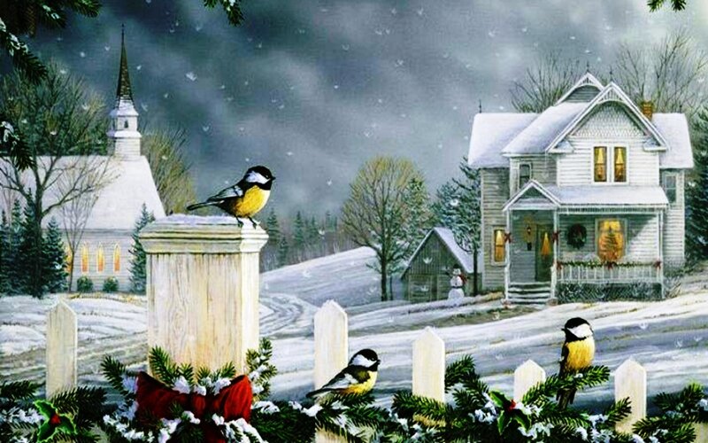 Birds on Fence in Snow
