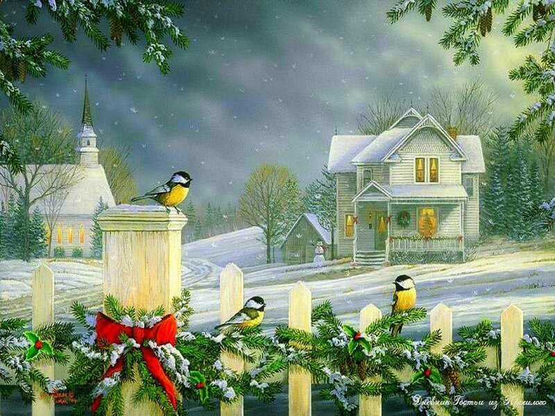 Birds on Fence in Snow — White