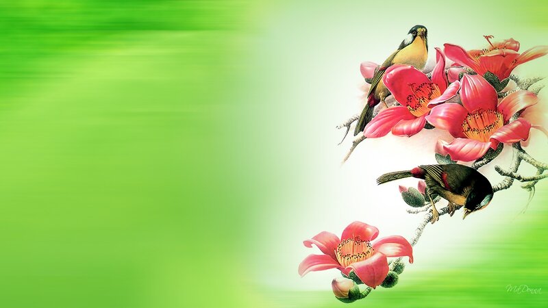 Birds on Flowering Branch — Green