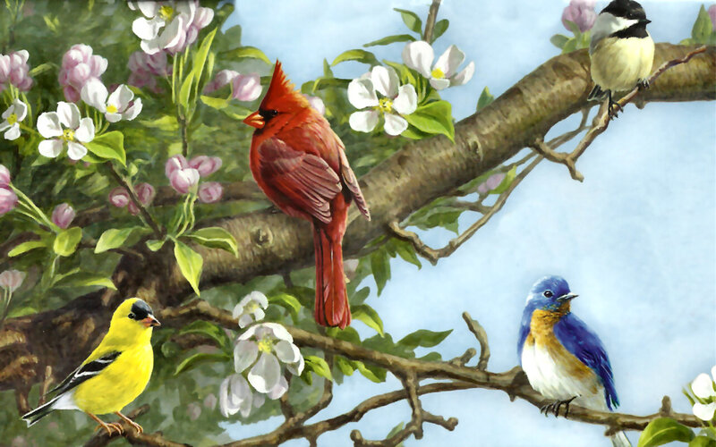 Birds on Flowering Branch — Red, Serene