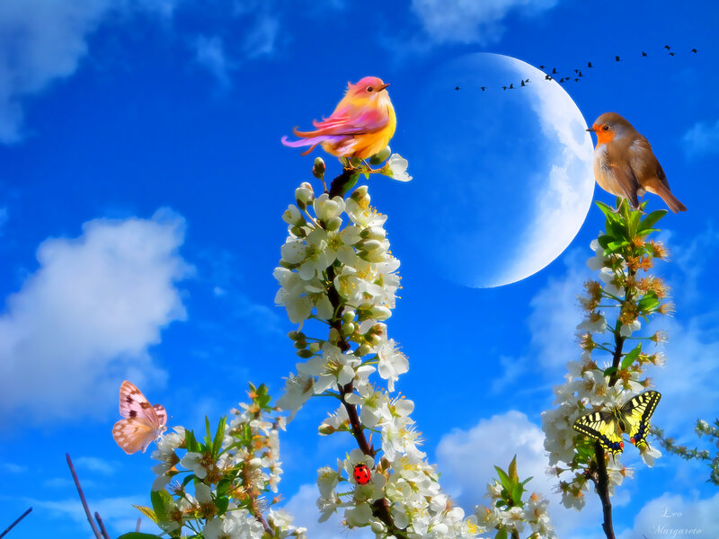 Birds on Flowering Branches — Blue