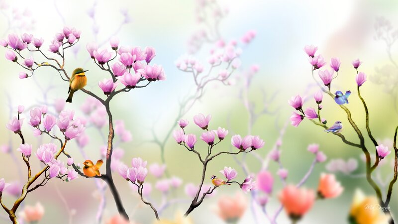 Birds on Flowering Branches — Pink