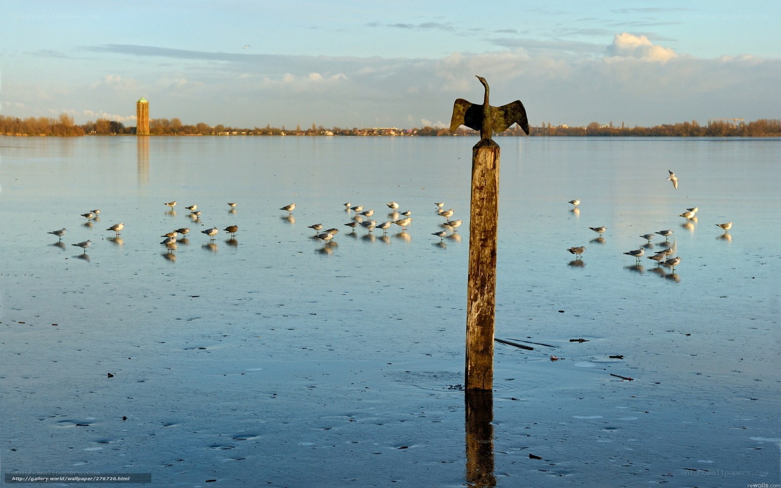 Birds on frozen lake with sculpture