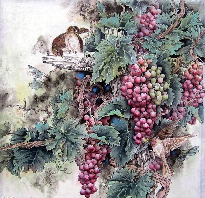 Birds on Grapevines