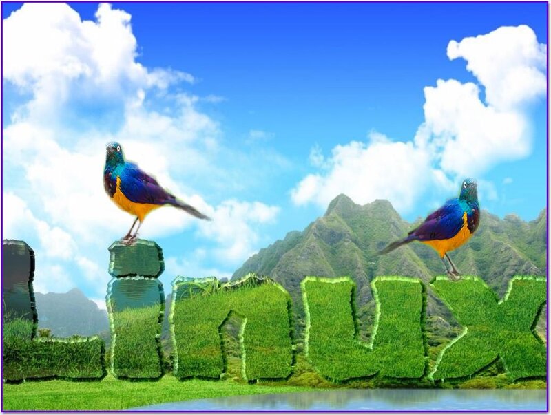 Birds on Grass Letters