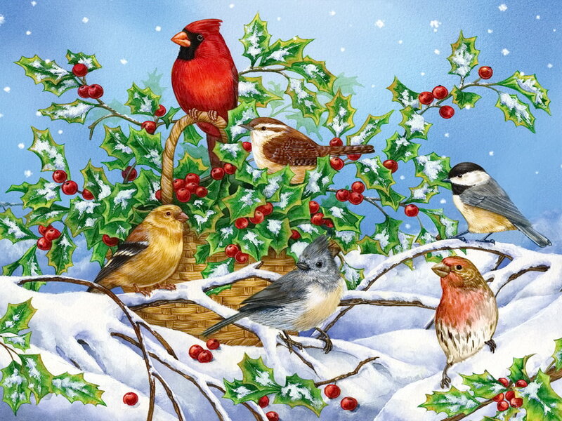 Birds on Holly Branches