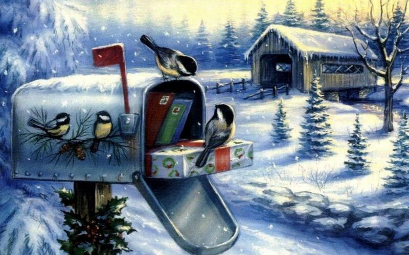 Birds on Mailbox
