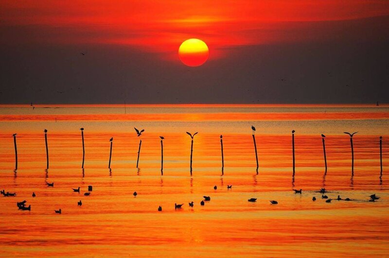 Birds on Posts at Sunset