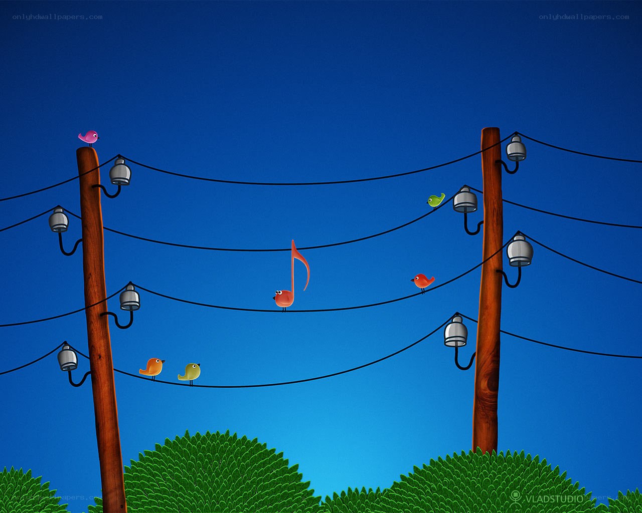 Birds on power lines