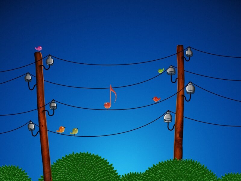 Birds on power lines
