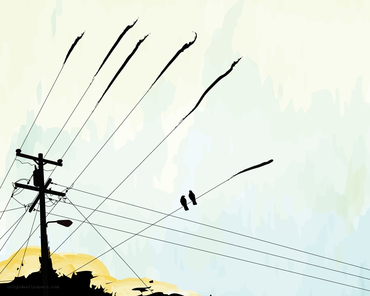 birds on power lines