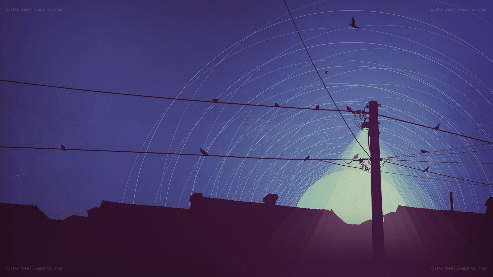 Birds on power lines at dusk