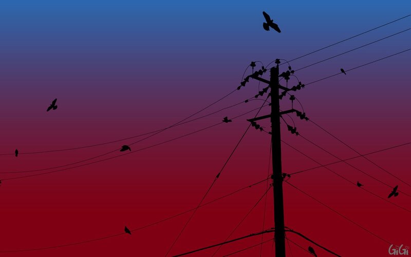 Birds on power lines at dusk