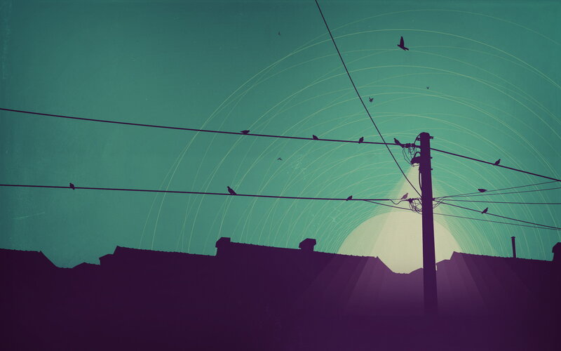 Birds on Power Lines at Sunset