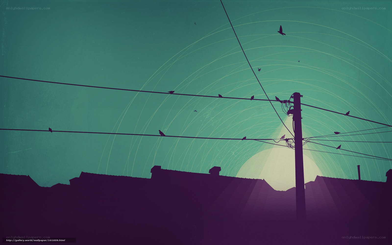 Birds on Power Lines at Sunset