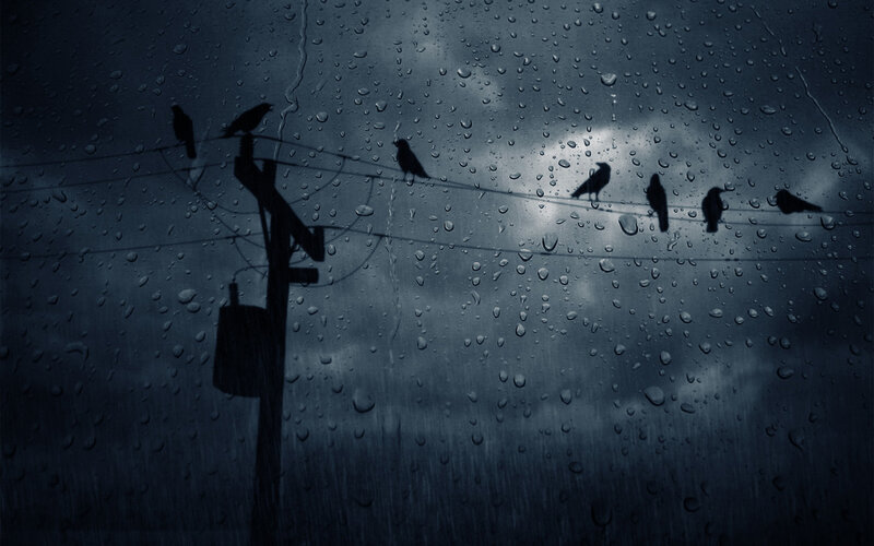 Birds on Power Lines — Blue, Dreary, Night, Photograph, Power Pole, Raindrops, Clouds