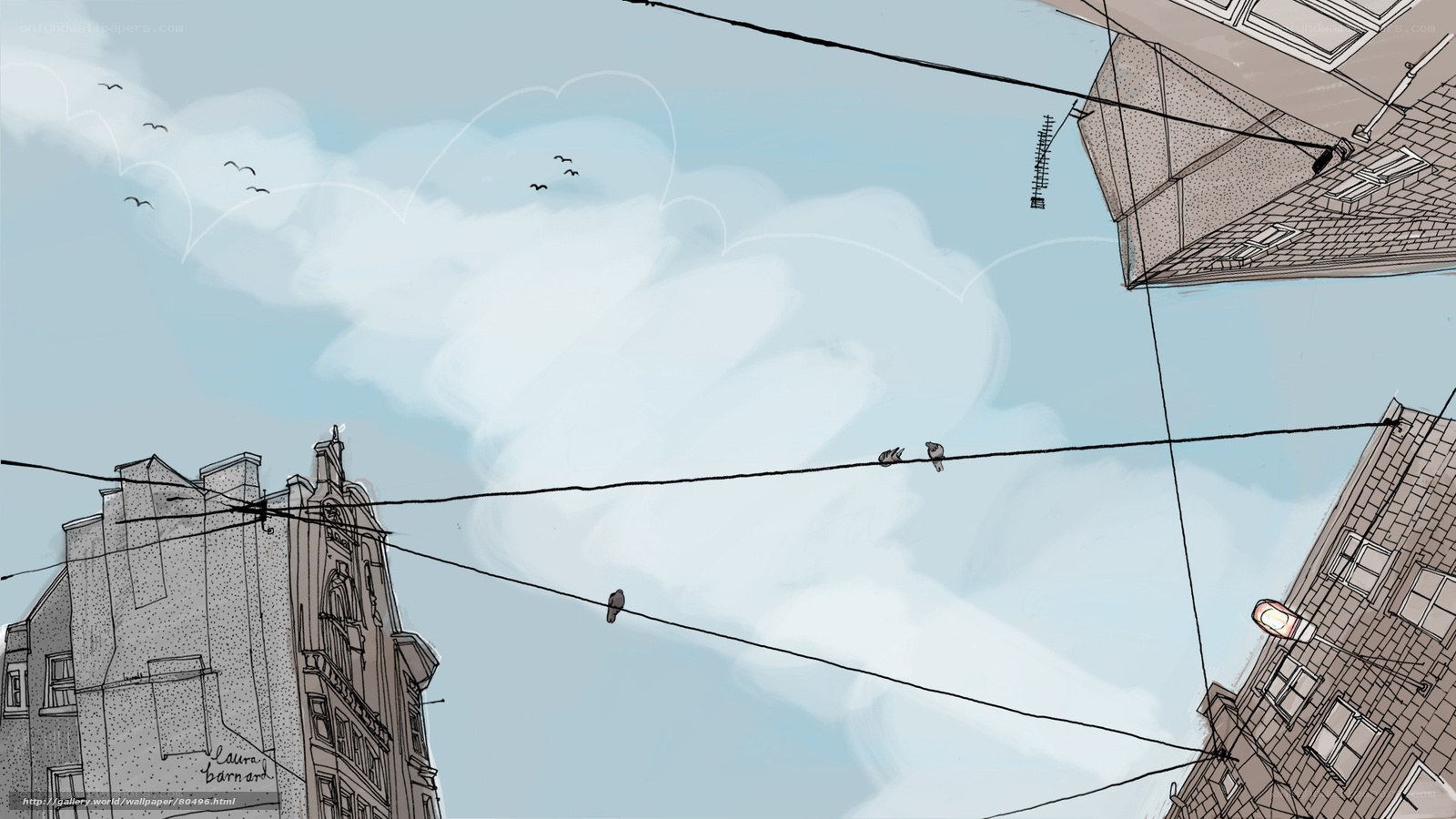 Birds on power lines in city
