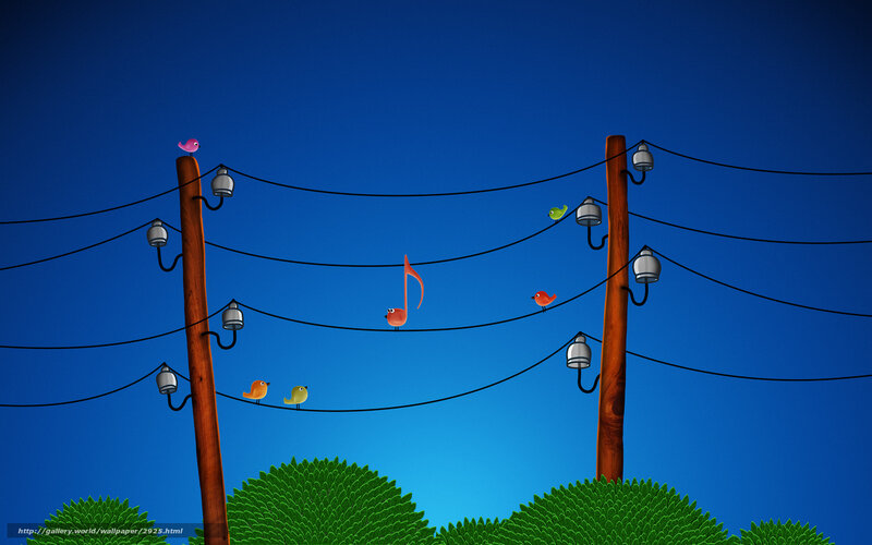 Birds on power lines