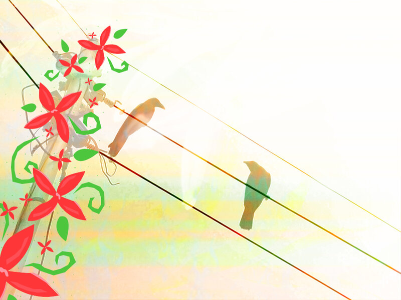 Birds on power lines with flowers