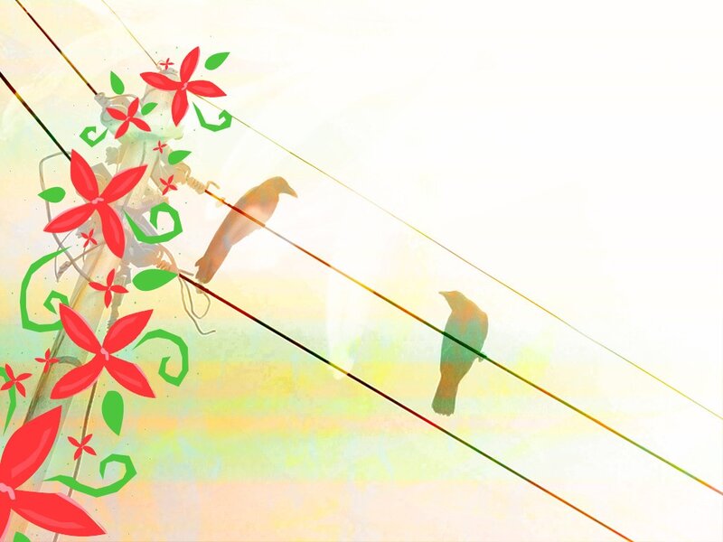 Birds on power lines with flowers