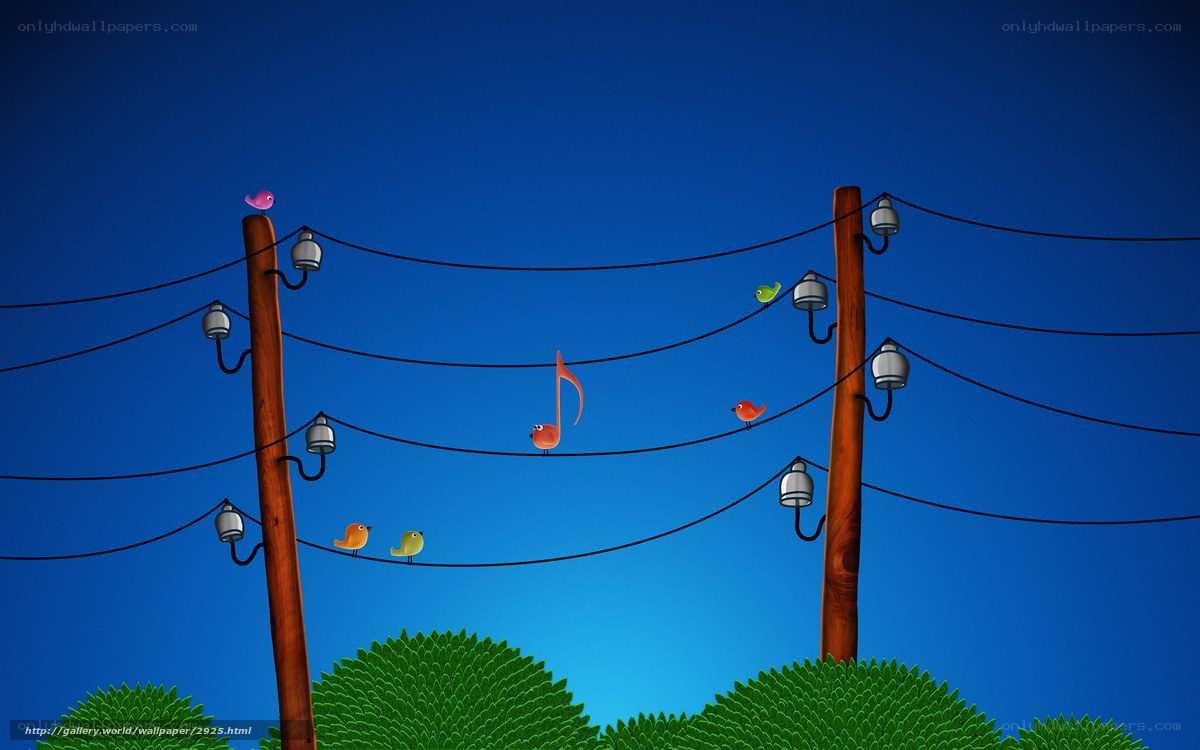 Birds on power lines