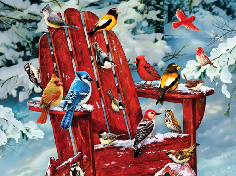 Birds on Red Chair