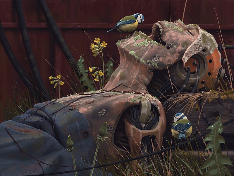 Birds on Robot Wreckage
