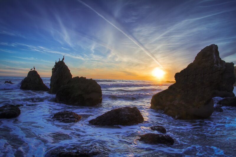 Birds on Rocks at Sunset