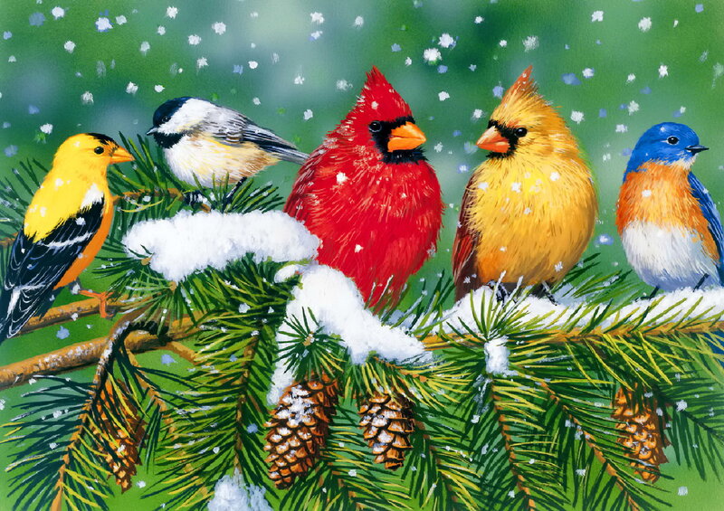Birds on Snowy Branch — Green