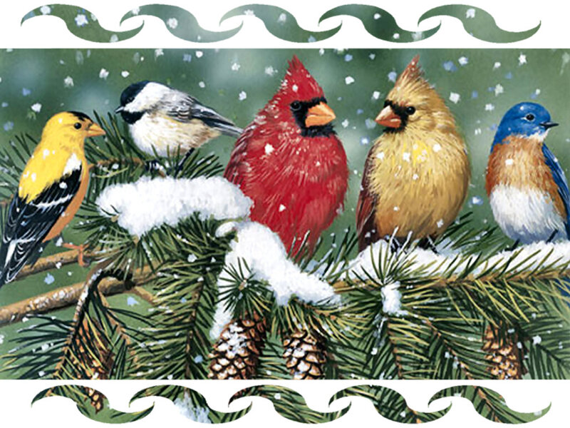 Birds on Snowy Branch