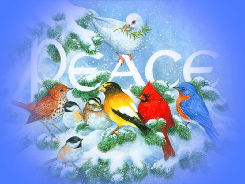 Birds on Snowy Branches — Blue, Peaceful