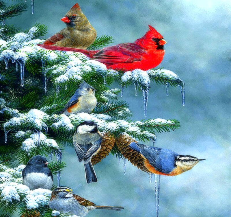 Birds on Snowy Branches — Red