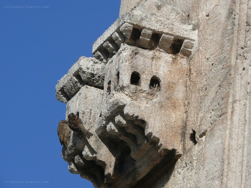 birds on stone structure