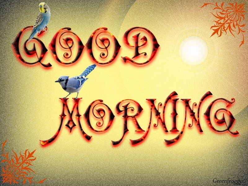 Birds on Text