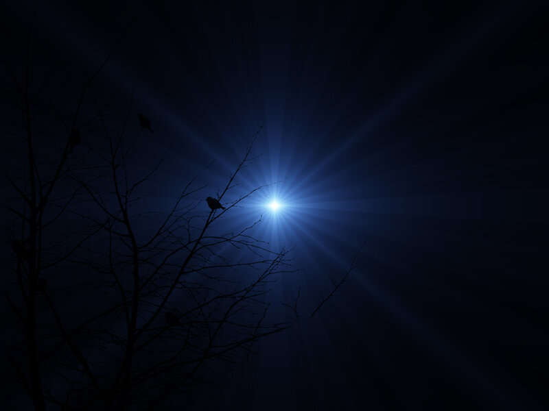 Birds on Tree Branches — Blue